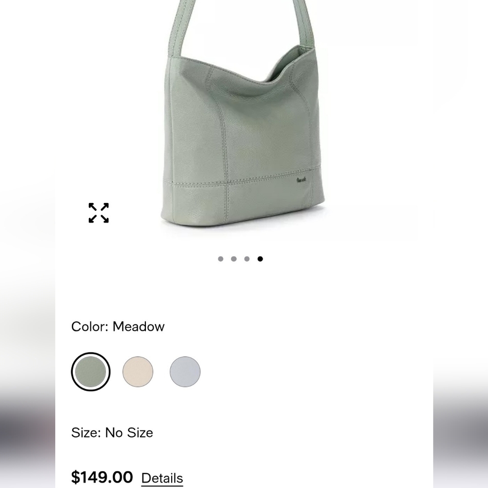The Sak De Leather Hobo